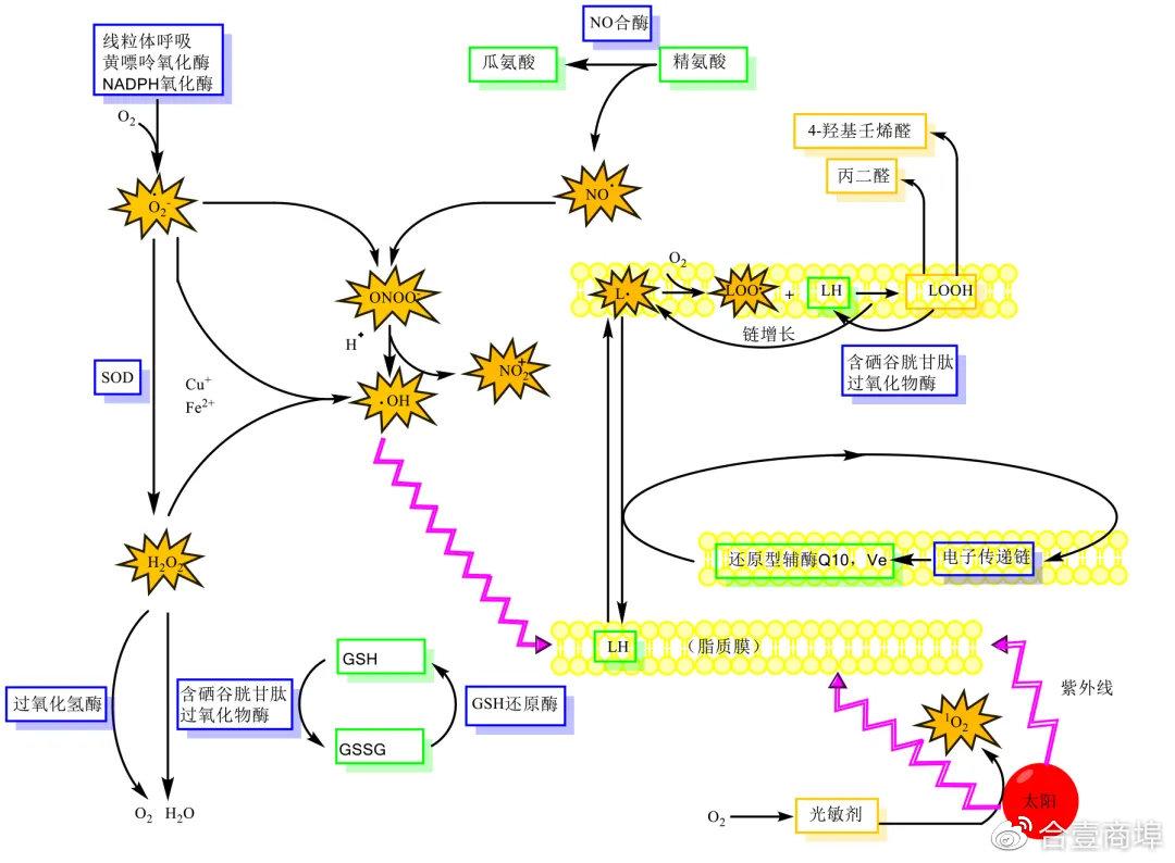 v2-3e40c022b3e6bd6e846358cc288330f6_1440w.jpg?source=172ae18b