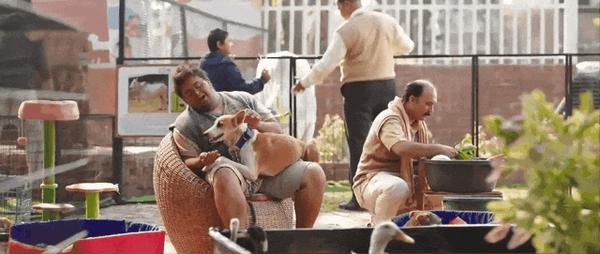 《地球上的星星》续作，阿米尔·汗能否延续神作？