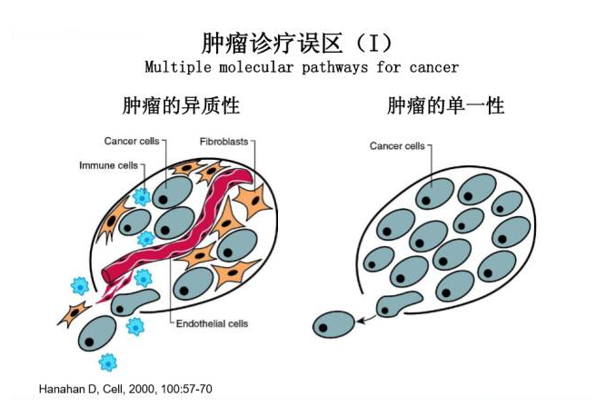 一)忽视了肿瘤病灶的异质性.