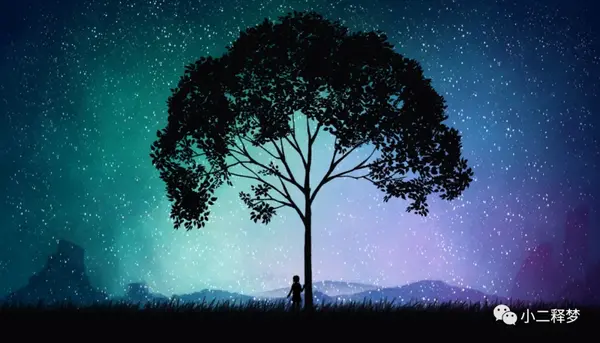 晨曦之梦,父爱如猫头鹰的守望——解读梦中奇景的深层含义 晨曦之梦,父爱如猫头鹰的守望——解读梦中奇景的深层含义