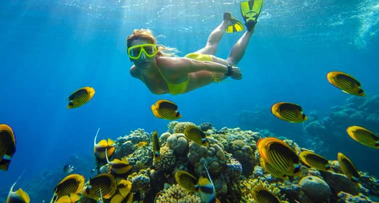 v2-3e593bc6a0b828746b081fdb69eb1ccc_1440w.jpg?source=172ae18b