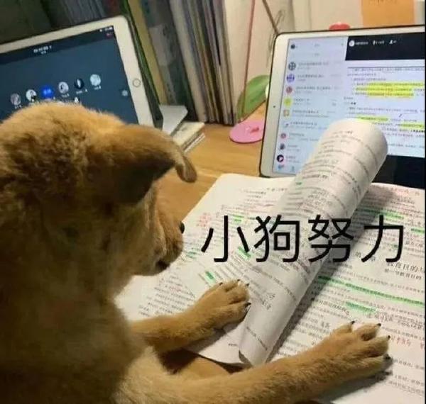 傻狗表情包（静图） - 知乎