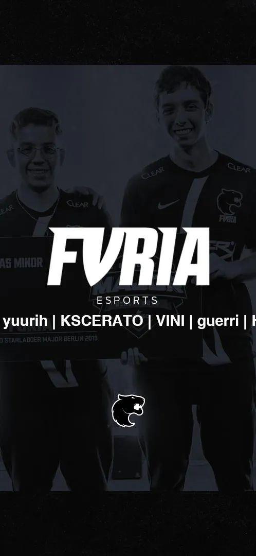 csgo壁纸黑豹furia