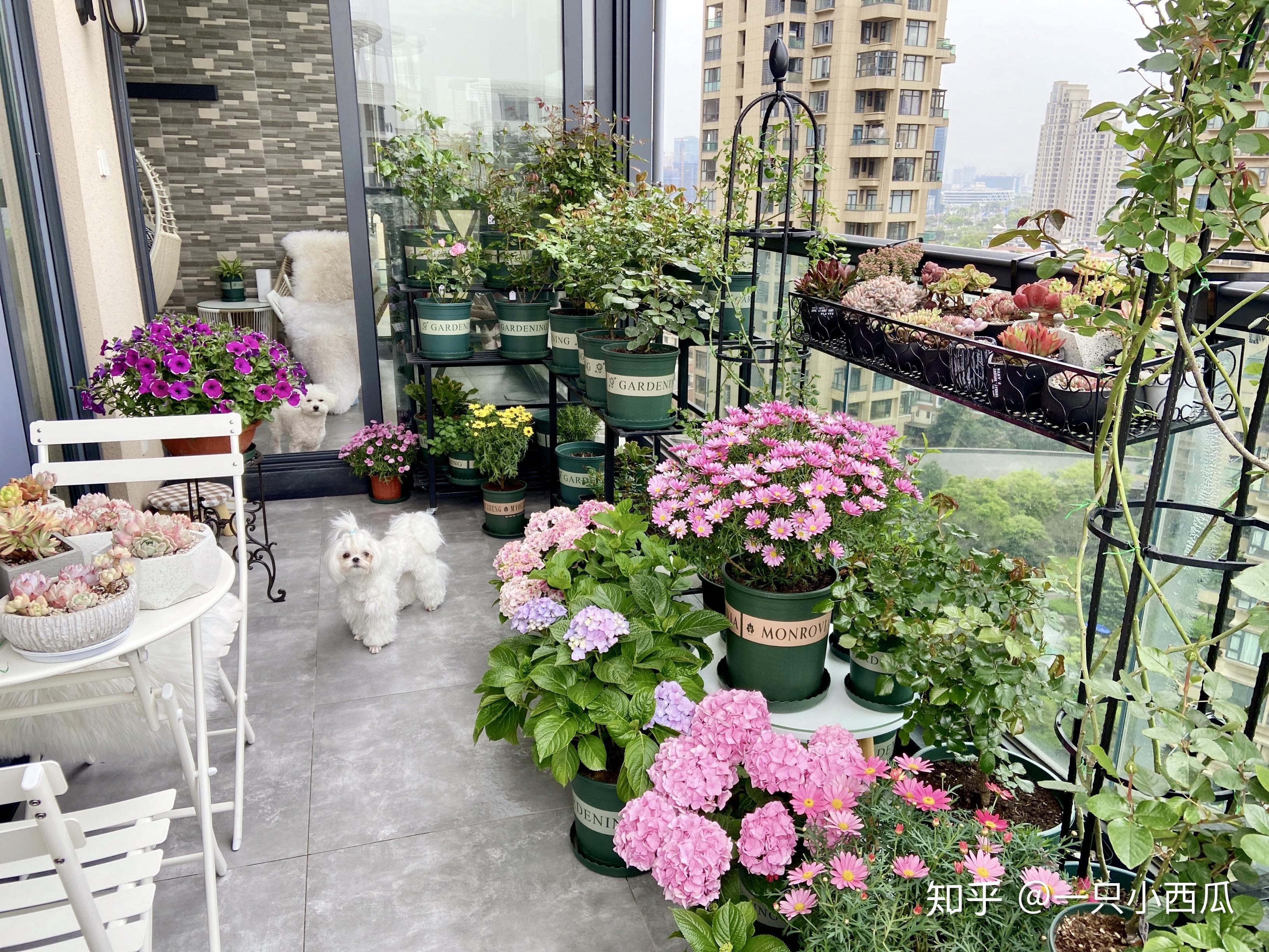 不同户型阳台设计 教你打造迷人空中花园！_齐家网
