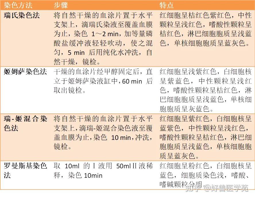 血涂片的制作步骤图谱图片