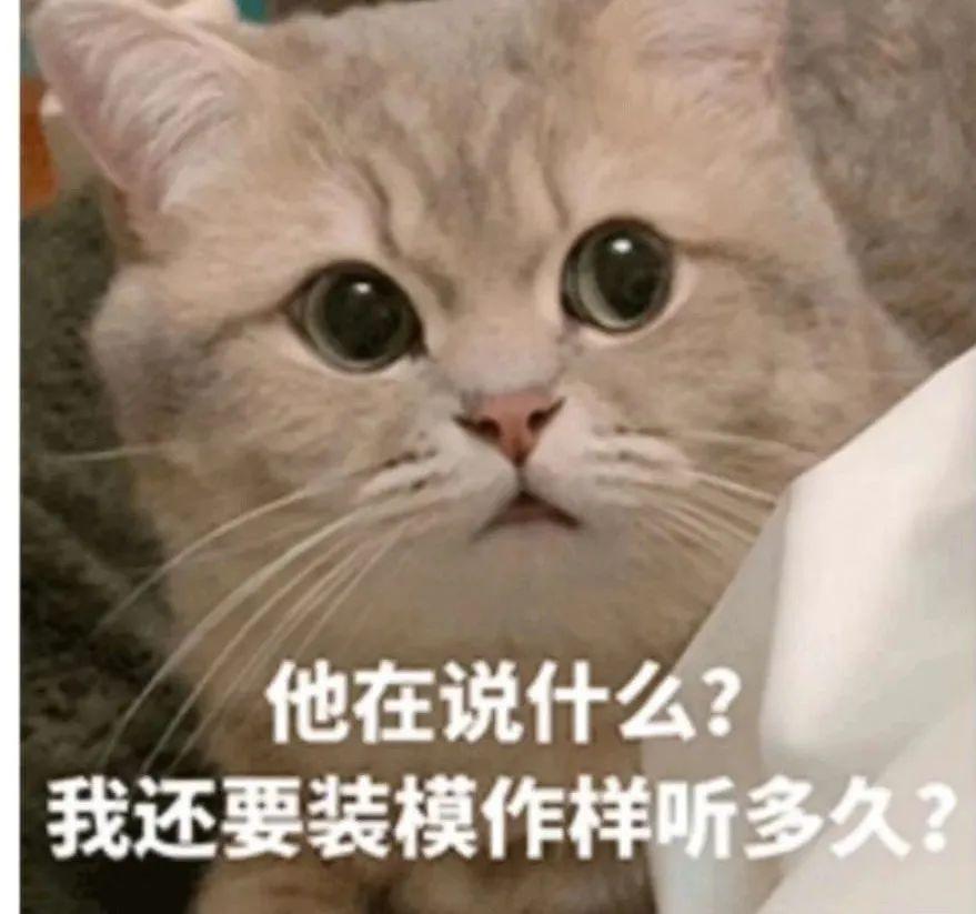 丝是什么意思呀 v2-3e82df7c13200efdf213a2239cd077d9_r.jpg