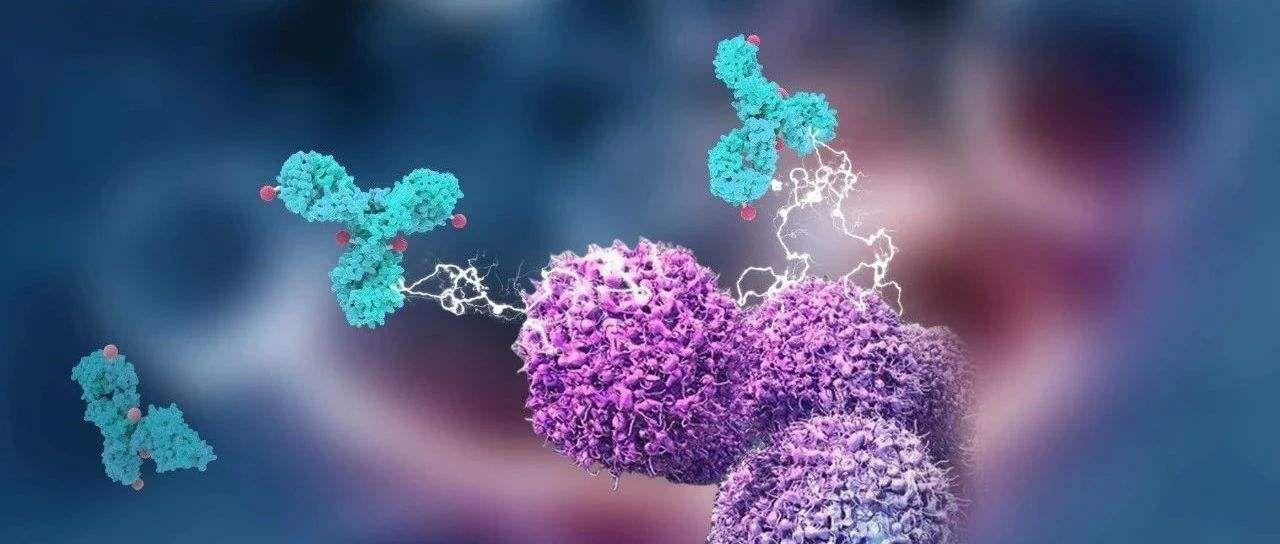 时迈药业完成数亿元融资推动各类抗体药物研发上市