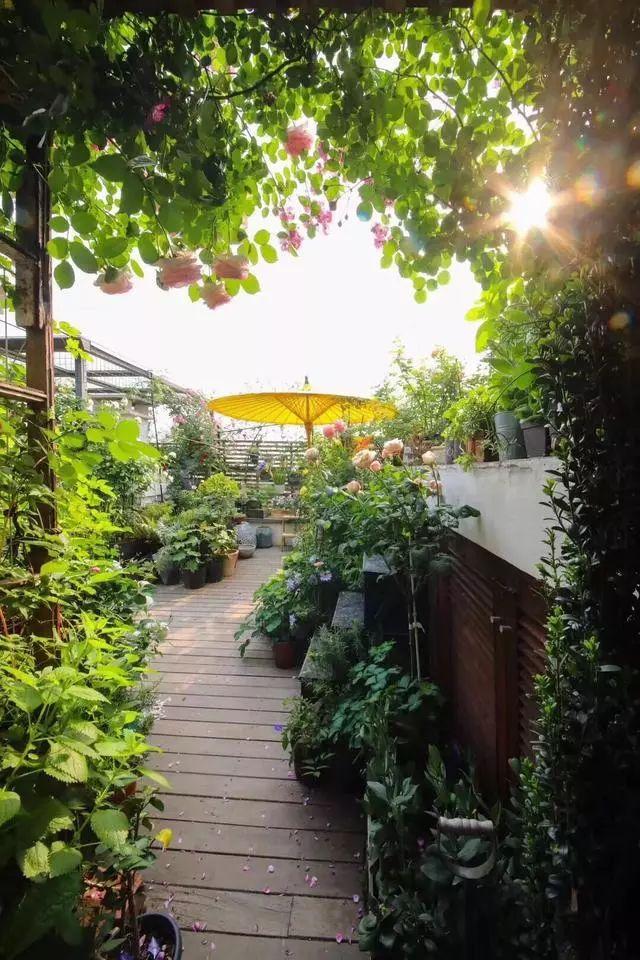 想有一所静雅小院浪漫到老