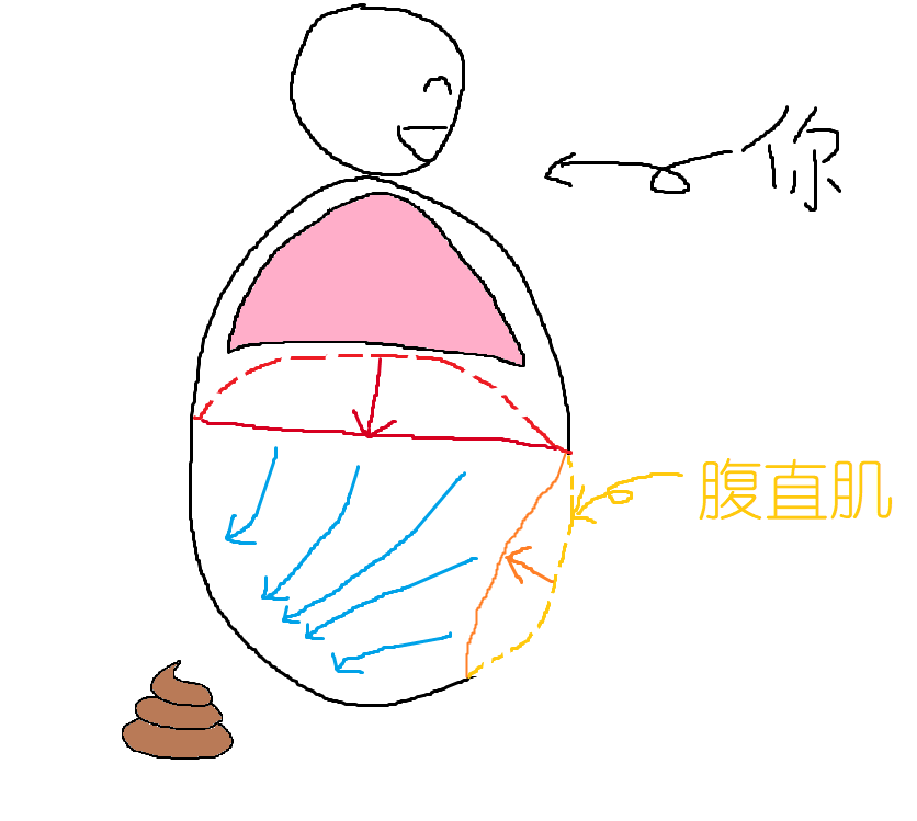 正常呼吸时肚子是膨胀还是收缩呢?