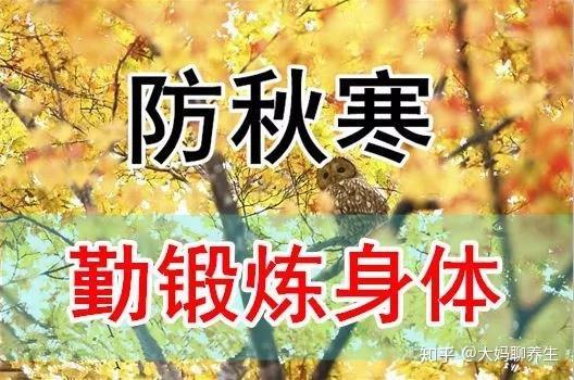 日常养生保健8字口诀图片(日常养生保健8字口诀图片高清)-第1张图片-鲸幼网