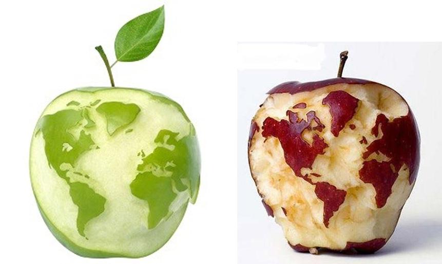 一个加拿大果农搞的转基因苹果就要上市了骚年你不来一发
