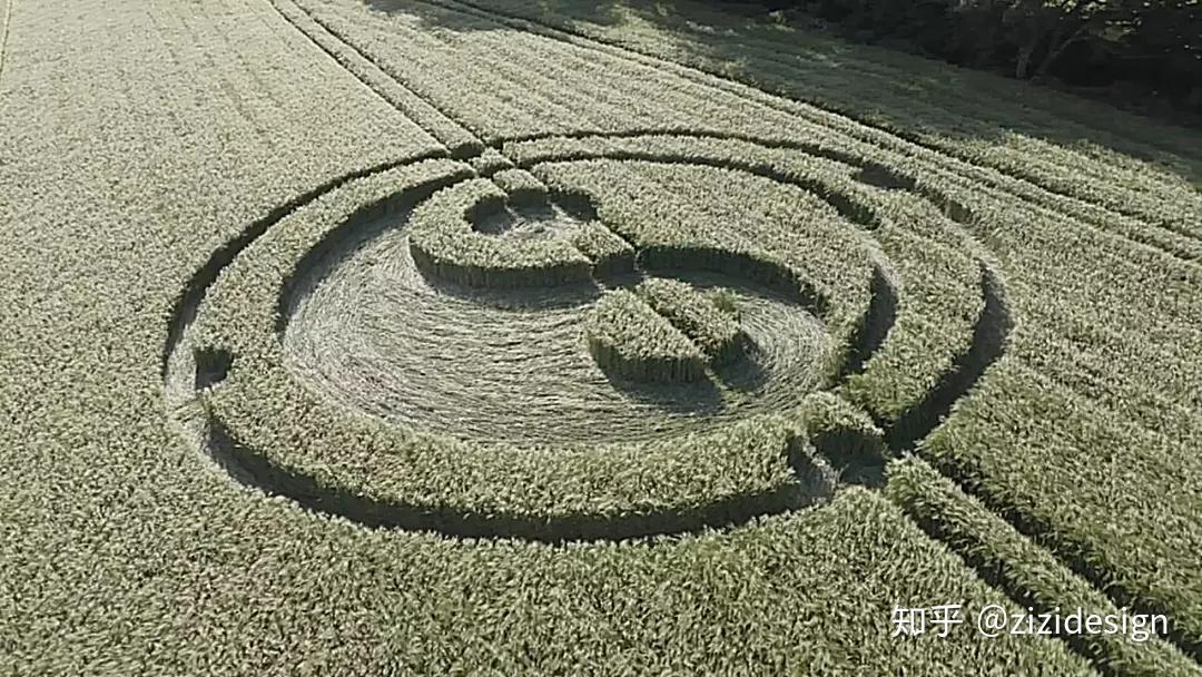 在沃明斯特附近的cley hill附近神秘地出现了一个新的麦田怪圈
