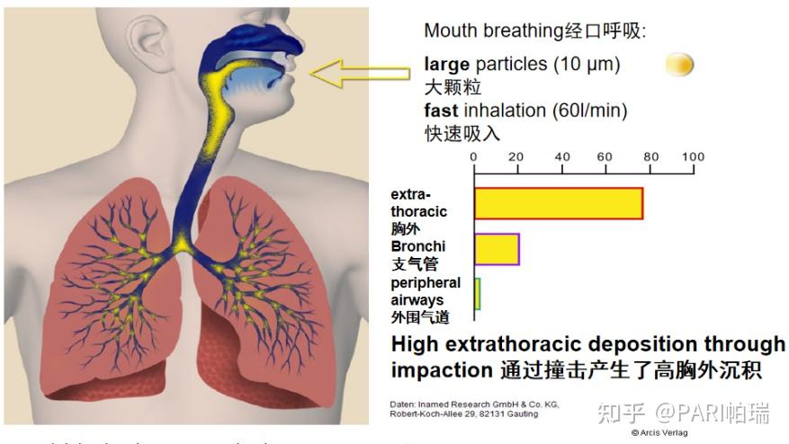 雾化这样吸才有效!你做对了吗? - 知乎