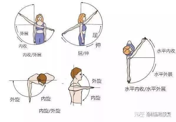 脊柱膝关节肩关节大转子咔咔响这些关节弹响可能是哪些病