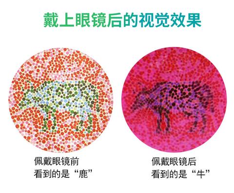 戴上我们专业的色盲色弱眼镜,去看五彩斑斓的世界七彩光学视界6道色盲
