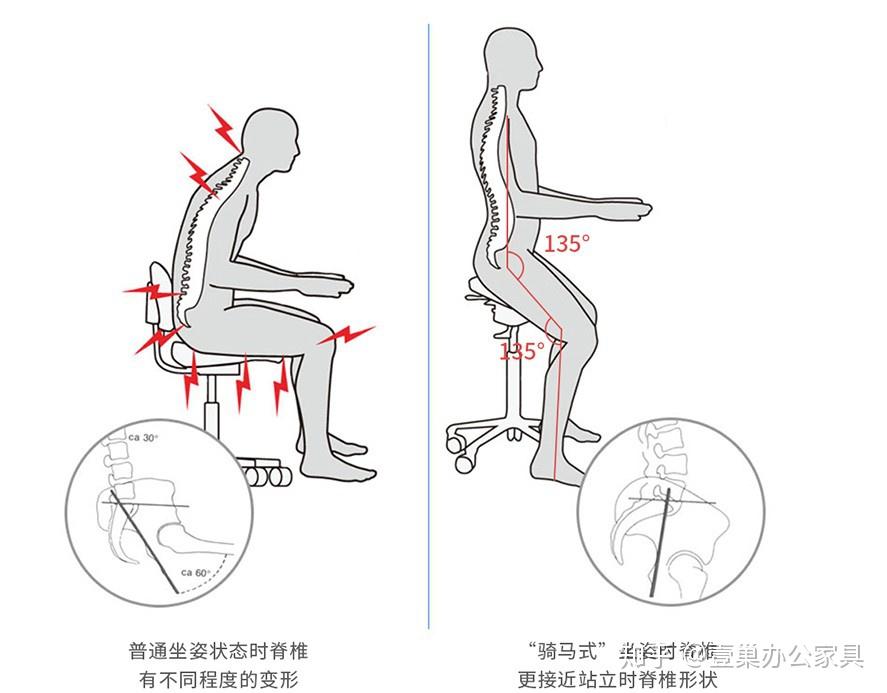 带你了解马鞍椅