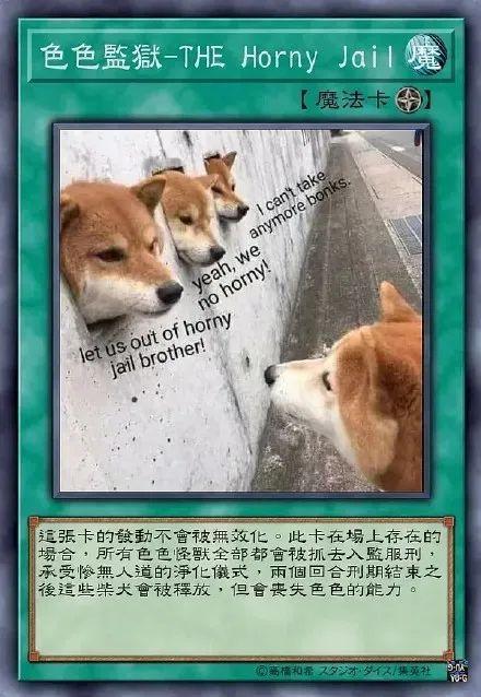 色色柴犬卡牌