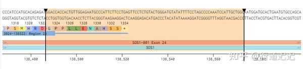 如何使用benchling在线设计CRISPR Knock in 同源互补模板 - 知乎