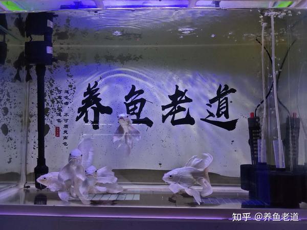 水泽节 泽水困卦详解_泽水困变雷水解姻缘_短鲷困水
