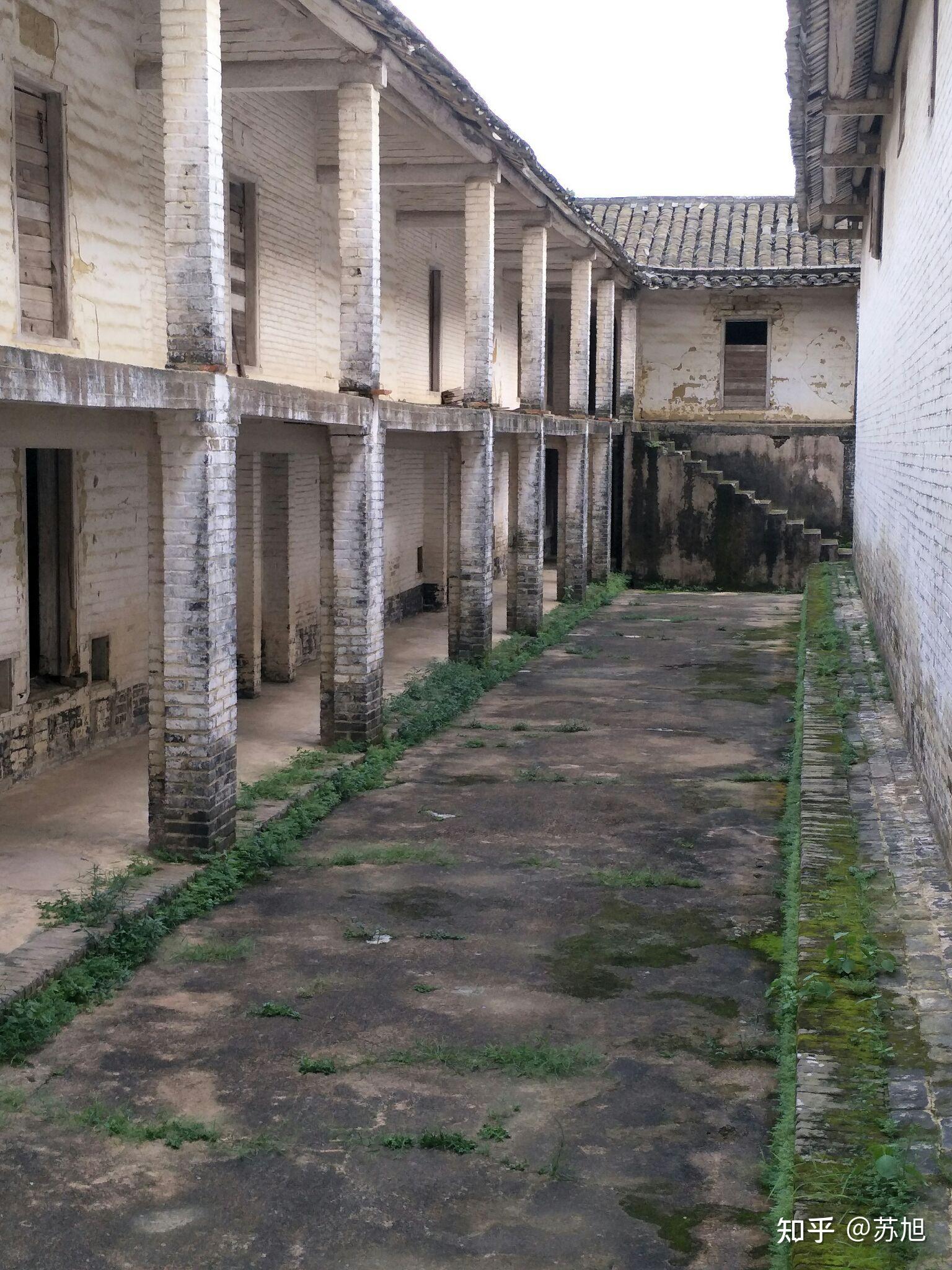 高州市分界镇杏花村