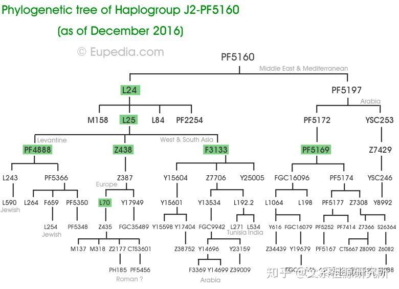 父系单倍群j2 知乎