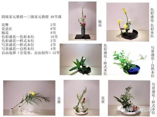 小原流蘭印象花道 课程设置 知乎