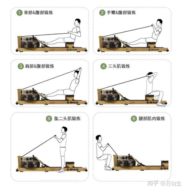 图片源自网络,侵权联系删除由于使用划船机的姿势没有众向的负载,它对