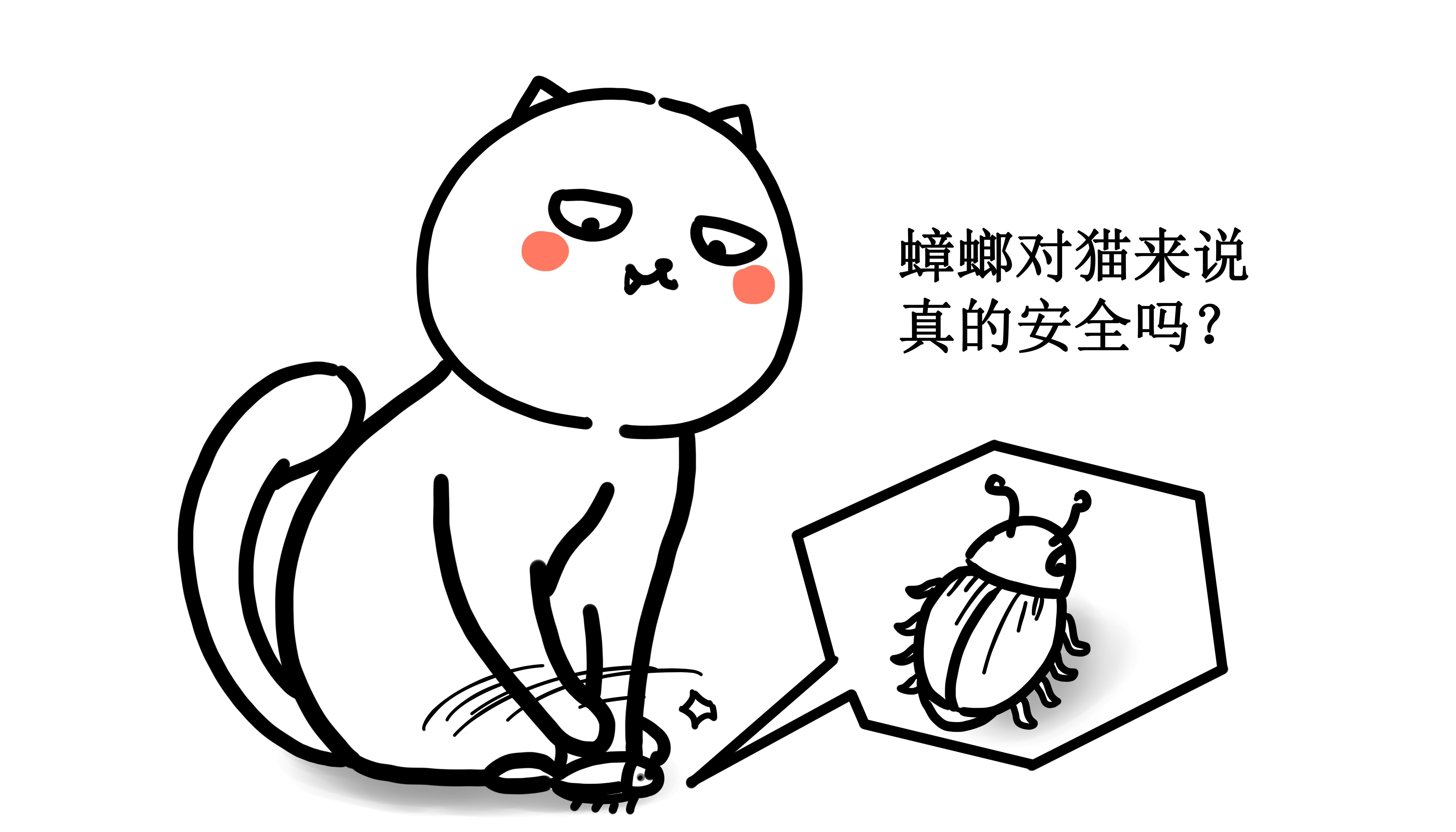 家猫吃蟑螂后吐了怎么办 会中毒死吗 喵星人为什么喜欢蟑螂 知乎