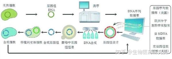知乎专栏