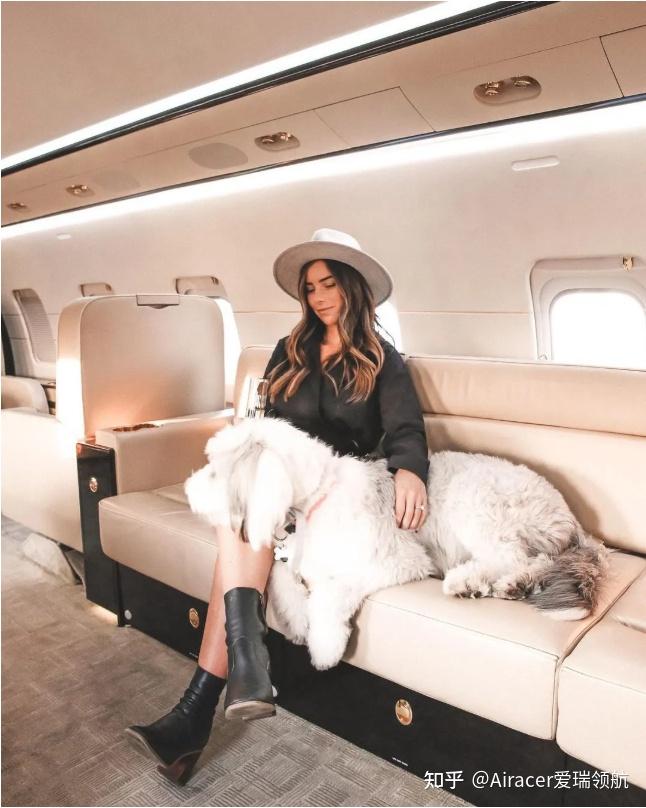 与宠物出行的航司之选