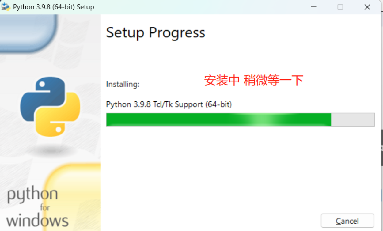  python python 