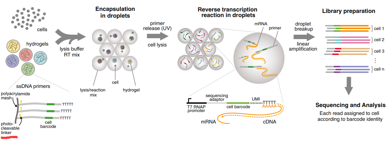 单细胞转录组技术进展 - 知乎