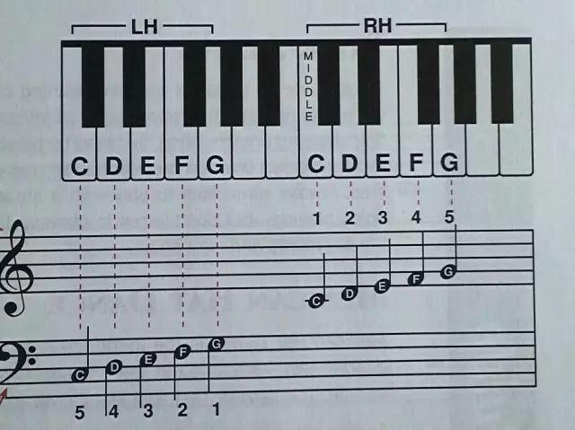 左手弹钢琴指法图片