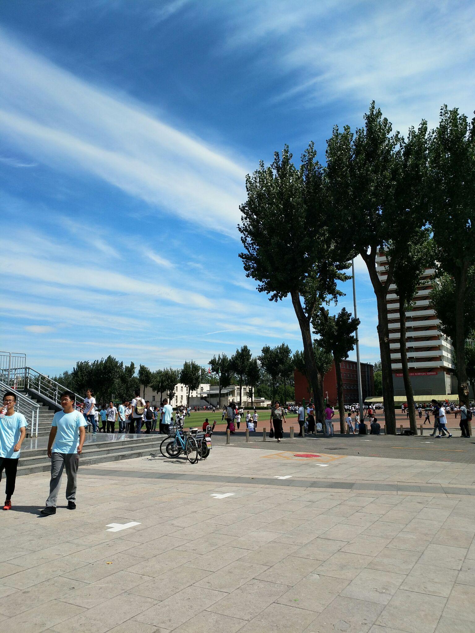 北工大都柏林的金融学和农大(中外合作)的经济