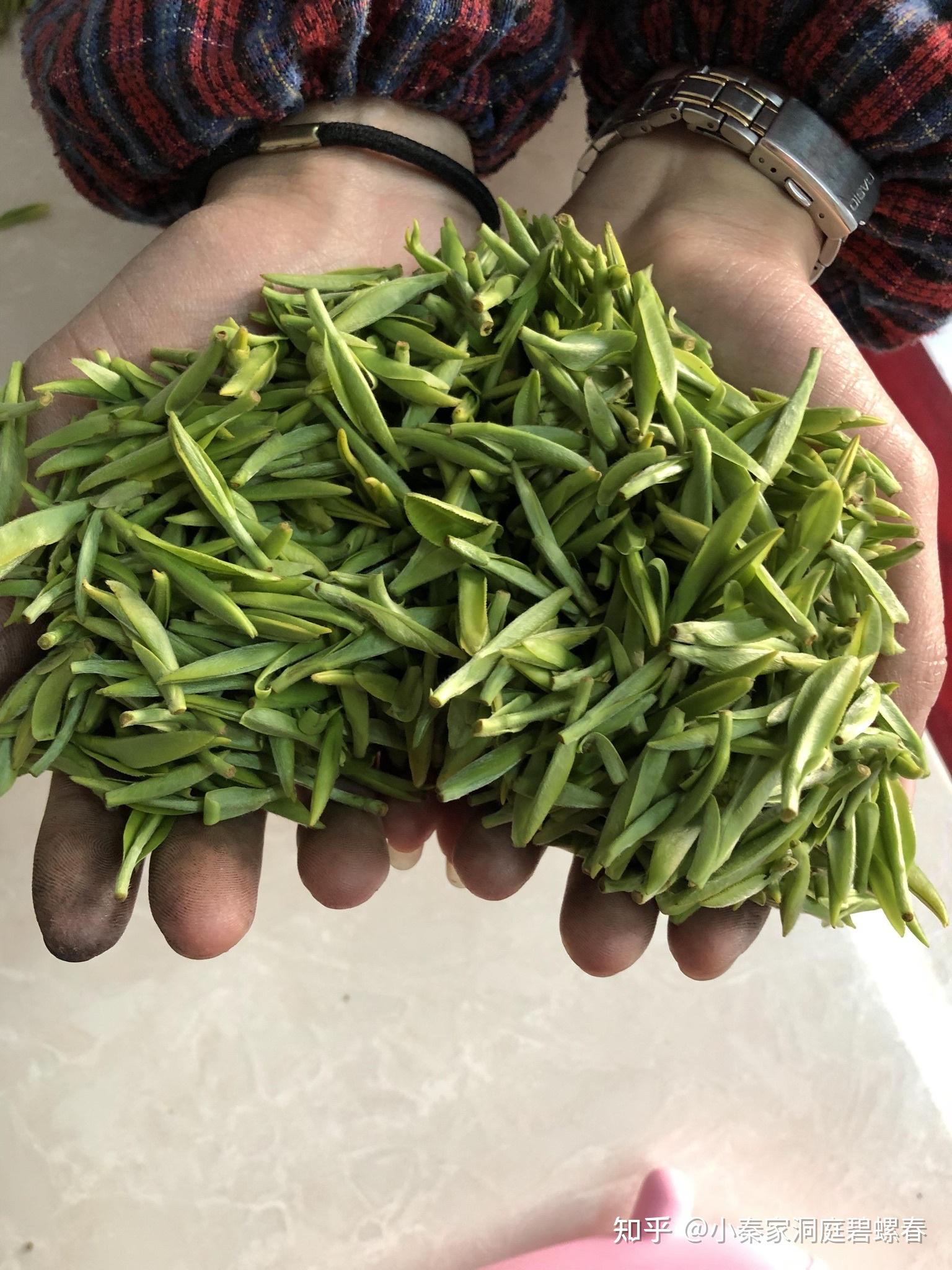 东山碧螺春多少钱一斤?