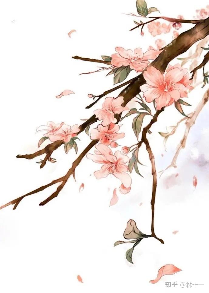 推书~古言先婚后爱甜宠文《捕婵》大姑娘浪 - 知乎