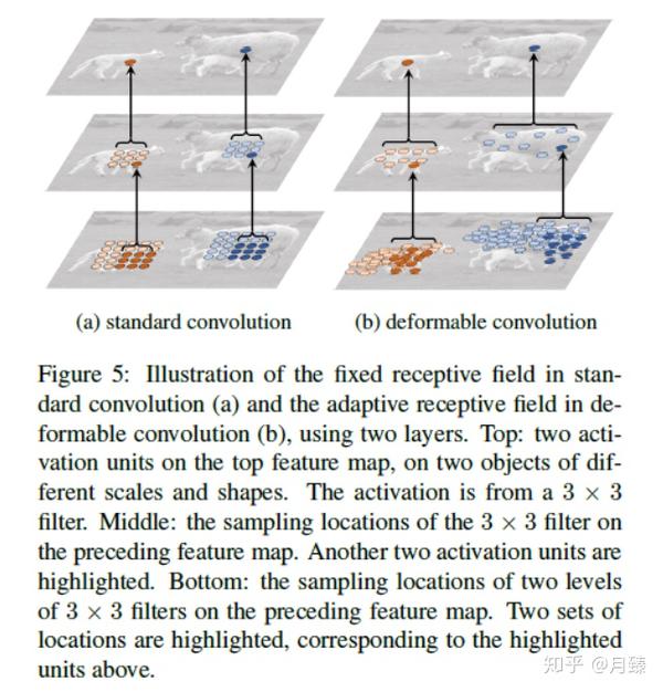 Deformable Convolutional Network论文解读 知乎