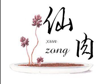 想养一盆不会生虫的花 千万别被忽悠了 养啥花都得做好防虫 知乎 想养一盆不会生虫的花 千万别被忽悠了 养啥花都得做好防虫 知乎