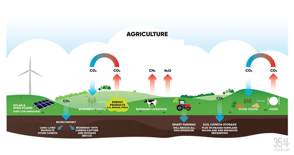 十五家农业食品公司如何应对碳排放?