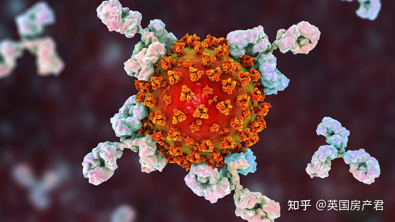 英国又现新变种毒株下周一公布解封方案伦敦14人口已有抗体