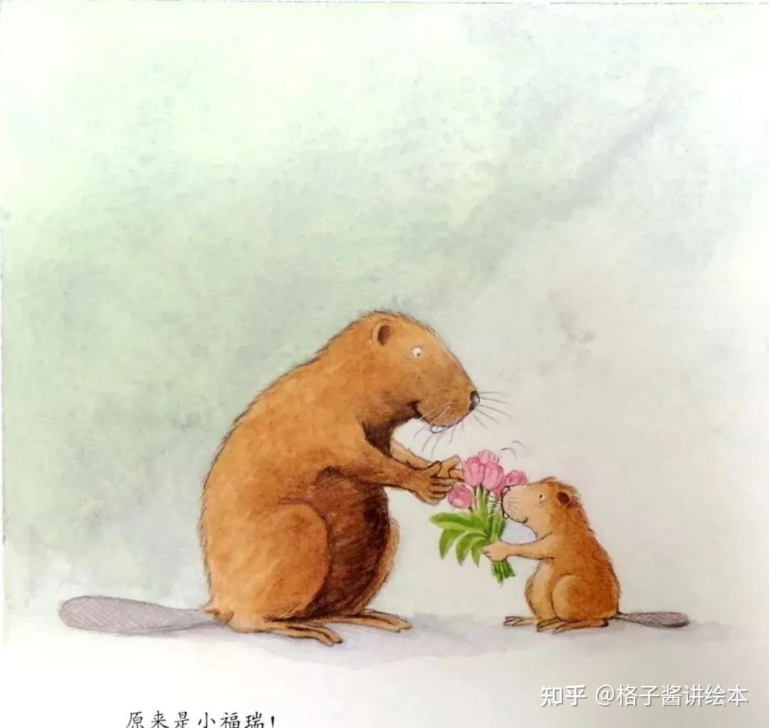 儿童绘本故事小海狸烤蛋糕