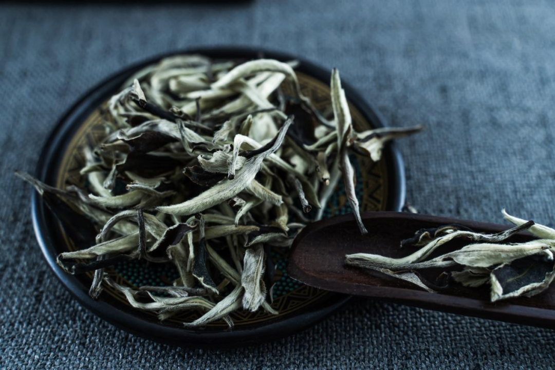 2022春季广州茶博会唯一指定白茶:红山银刀白牡丹 