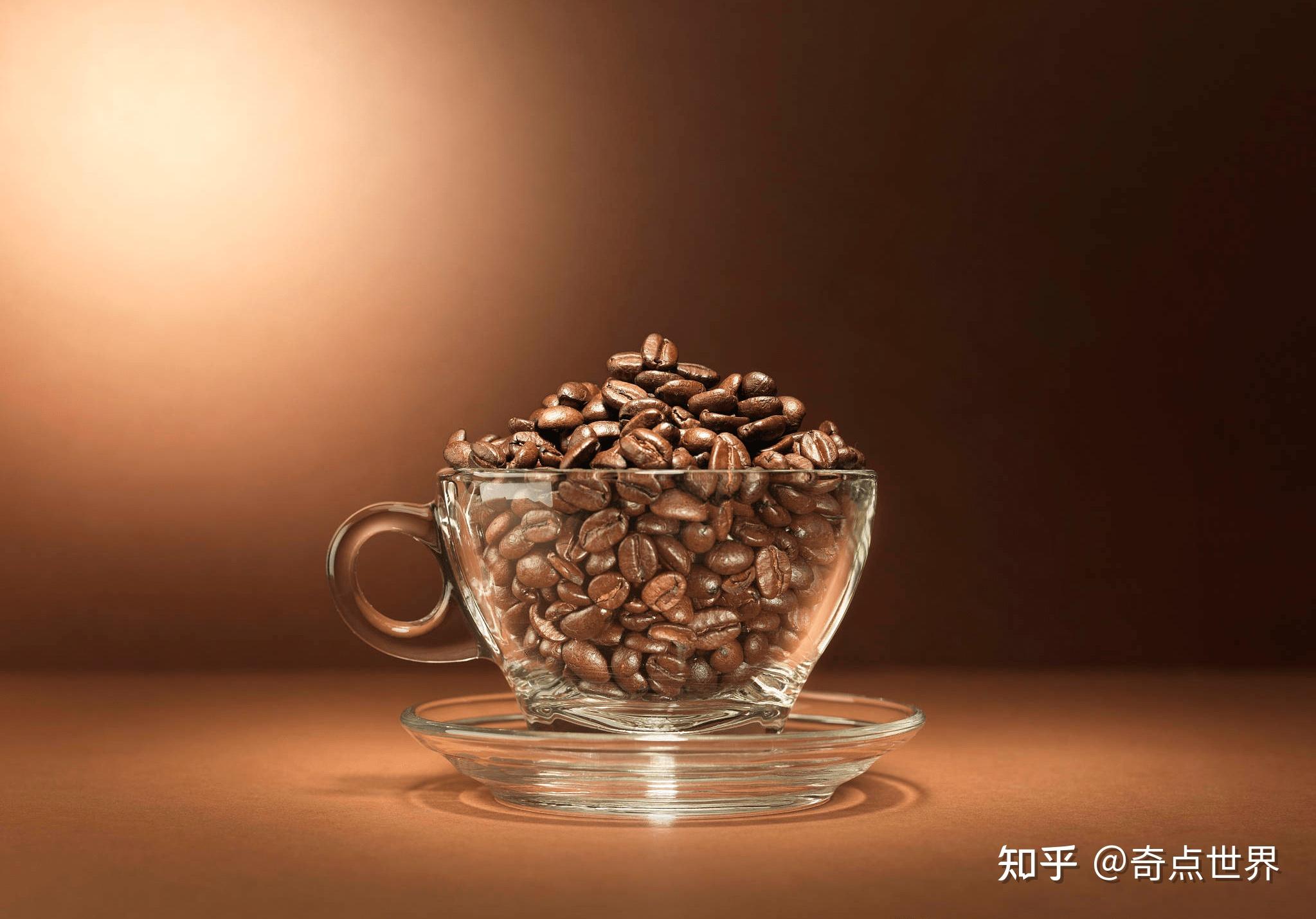 咖啡的起源和发展历史