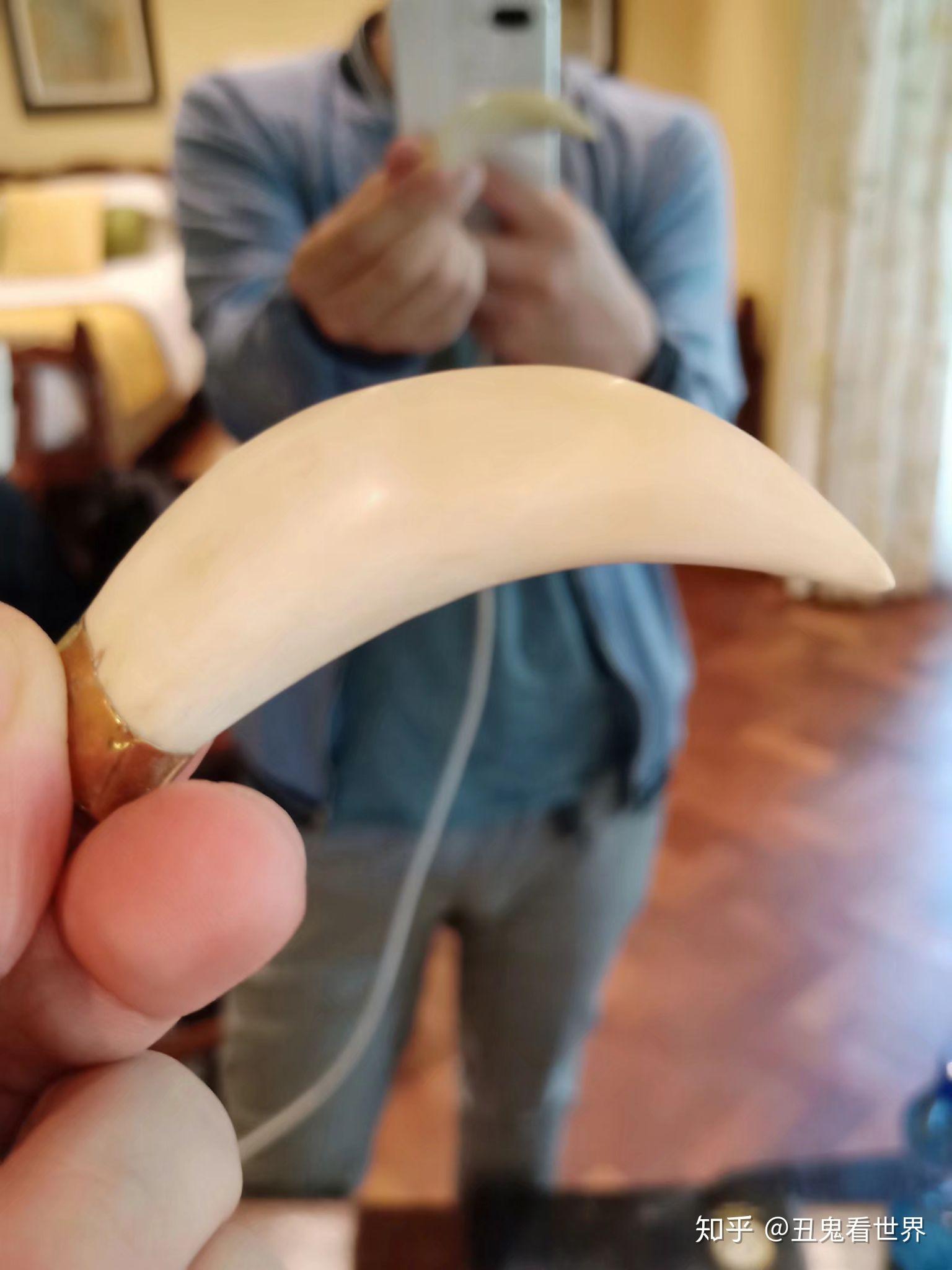 热情的欢歌载舞之后,尝试推销一些小玩意,狮牙豹牙羚角之类.