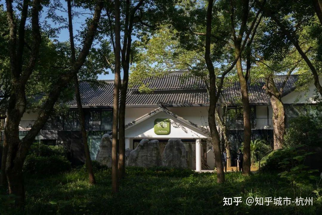 茶荟lifestyle | 兔年春天小聚荟新春艺术展 - 知乎