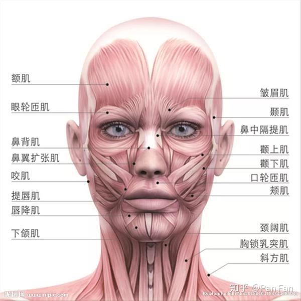 总能被一眼认出的ABC女生外形气质和我们有什么不同? - 知乎