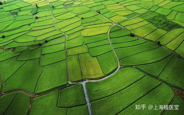 生物農藥發展前景廣闊必將成為最具發展潛力的農藥品類