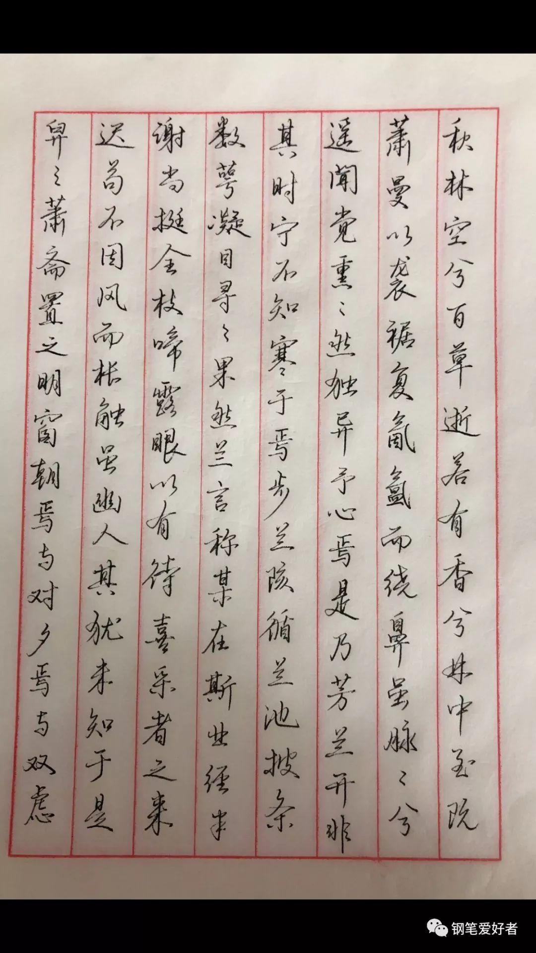 袁枚秋兰赋手写钢笔字笔友钢笔书法习作欣赏