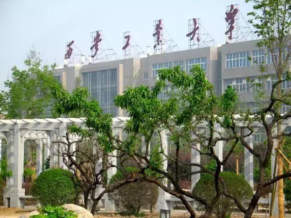 450能考什么大学西安(陕西450左右可以考什么大学)