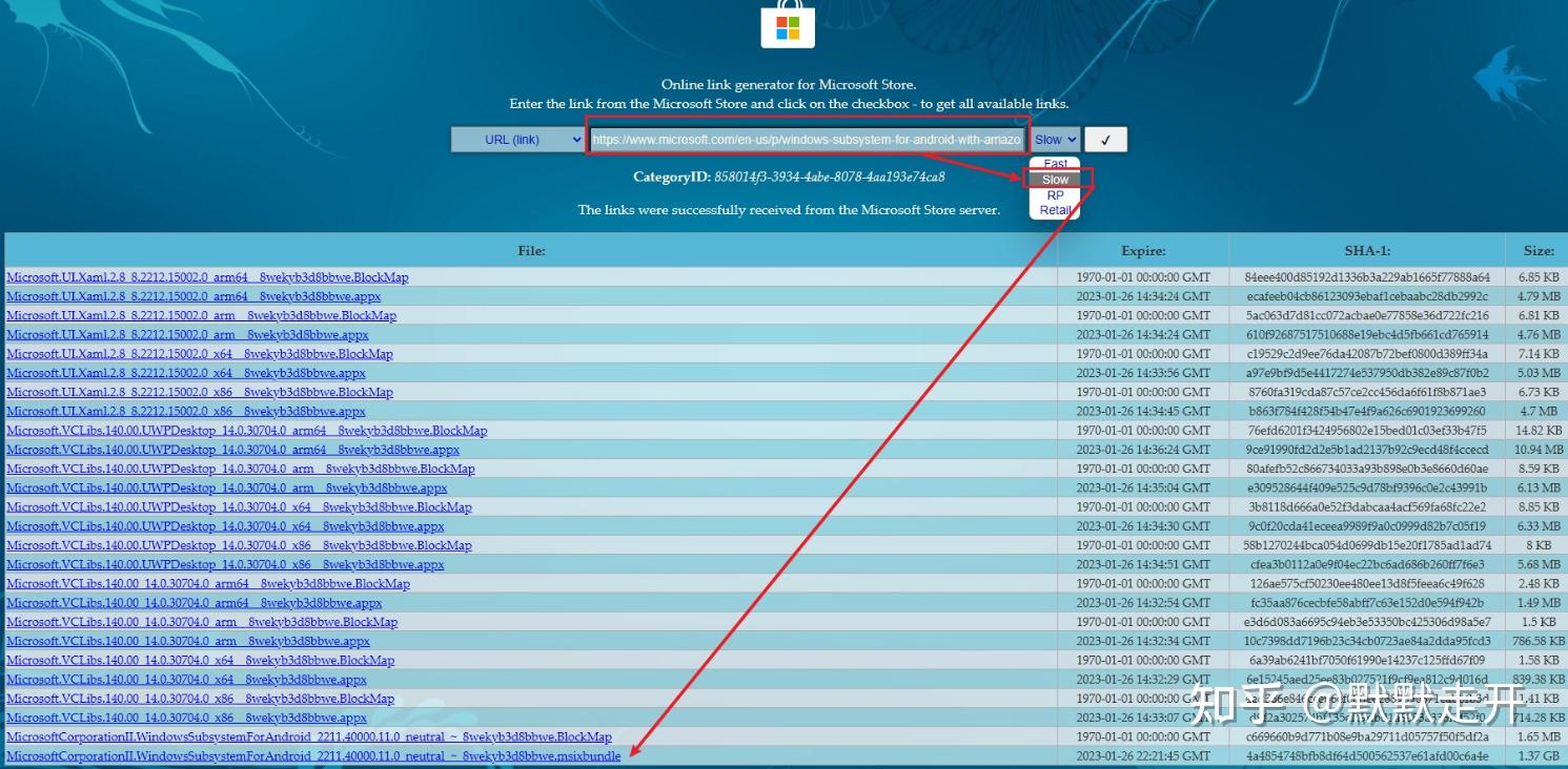  windows wsa 